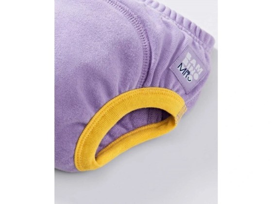 29330-3_image2-pottytrainingpants-detail