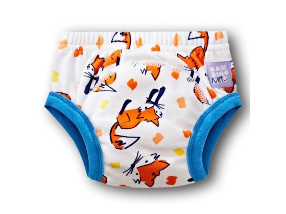 29354-3_image-1-potty-training-pants-fuzz