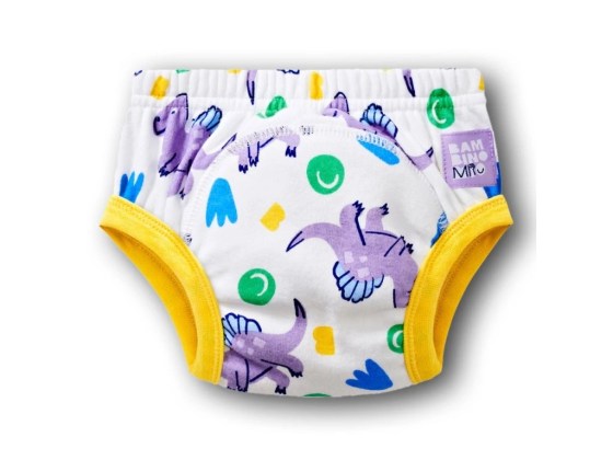 29363-4_image-1-potty-training-pants-crash